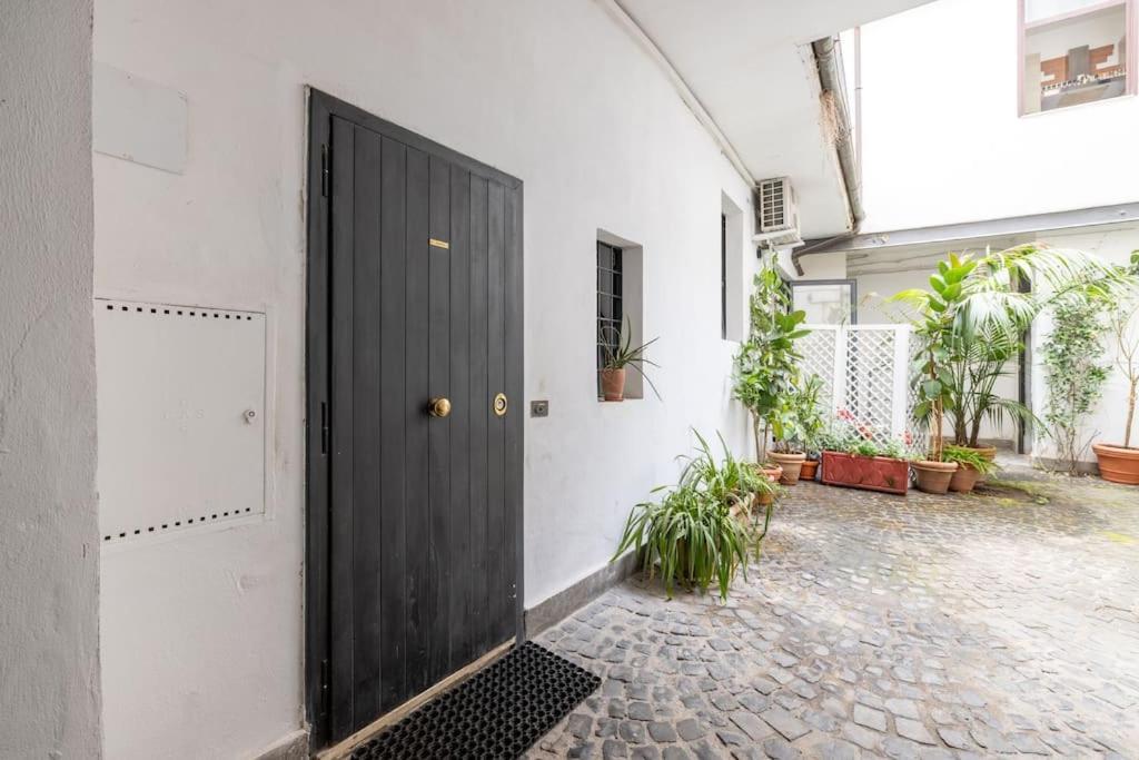 Colosseum Charming Apartment Rome Extérieur photo